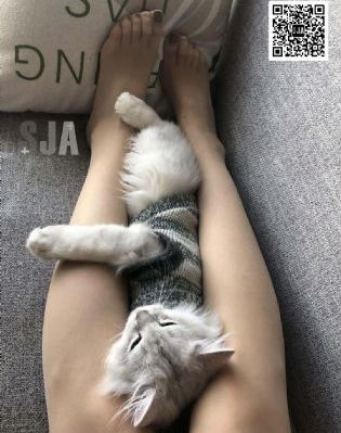想要拥抱你_DVD免费观看超清