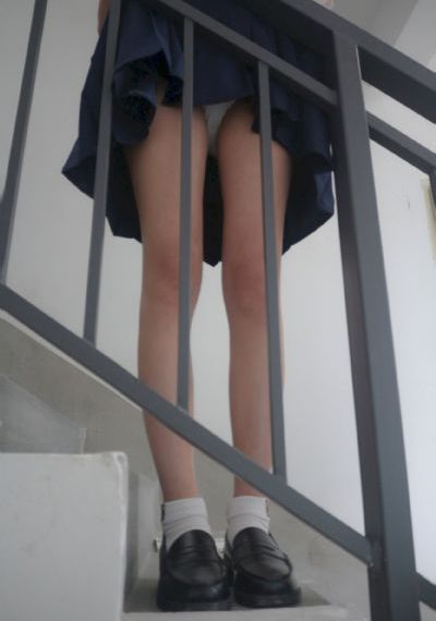掌中雀_超清免费电视剧