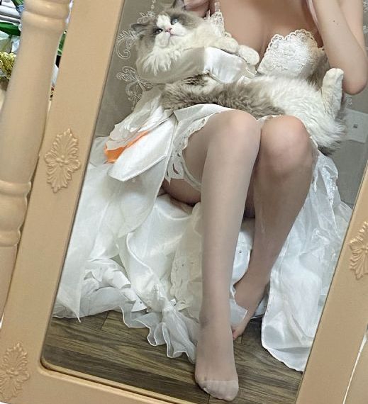 征服者在线观看免费全集_蓝光高清视频播放