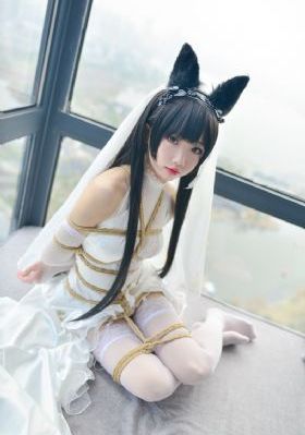 九重紫电视剧在线播放视频观看27_蓝光免费观看