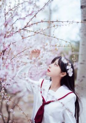 千山暮雪第二部免费观看全集_1080P日韩电影在线