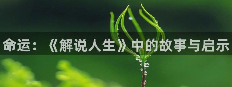 eeuss秋霞影院