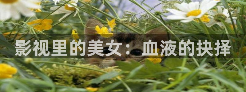 秋霞171伦理片