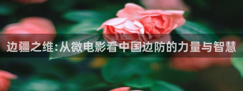 秋霞电影频道