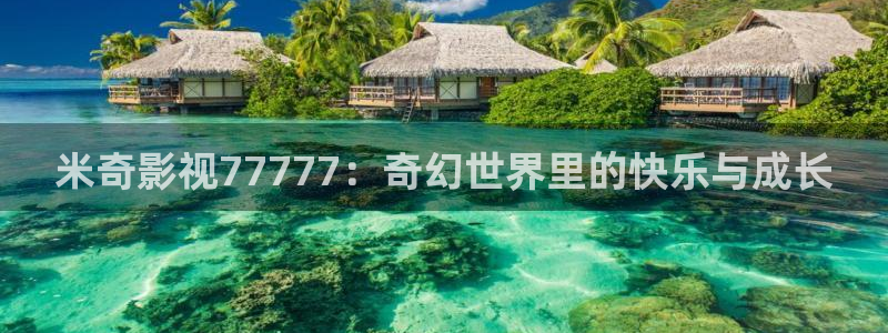 秋霞网免费