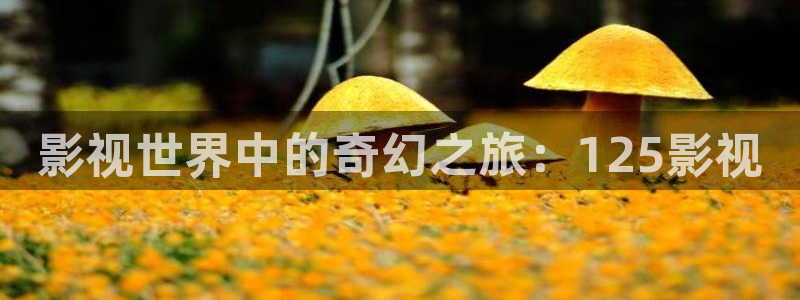 秋霞论语电影