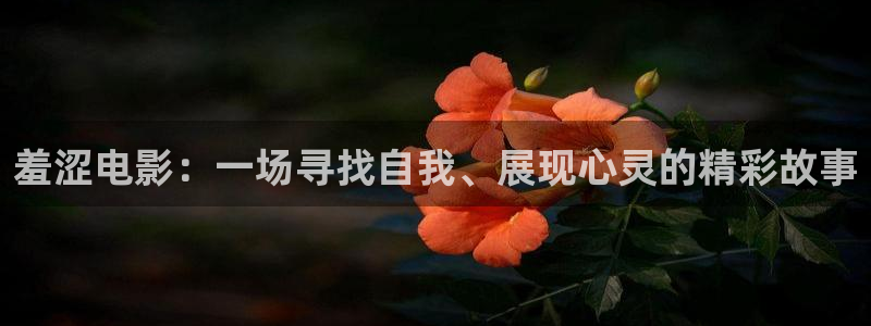 秋霞网神马影院