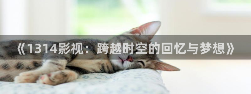 秋霞撸丝在线视频