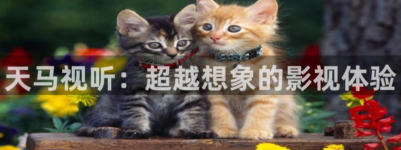 秋霞电影总部