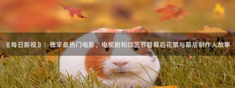 神马影院在线观看秋霞