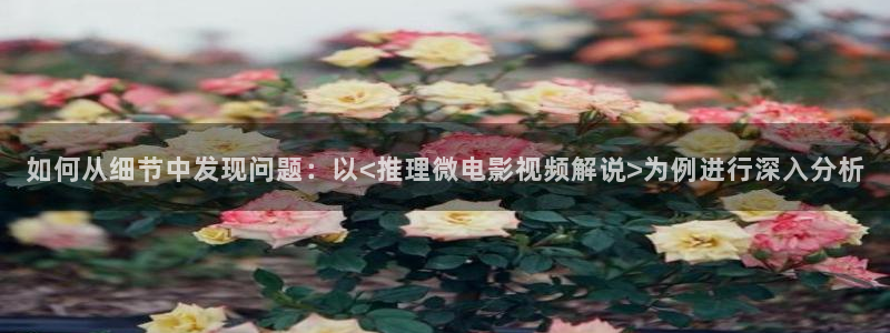 2024秋霞电影网