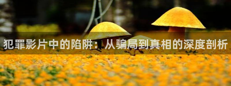秋霞大补影院