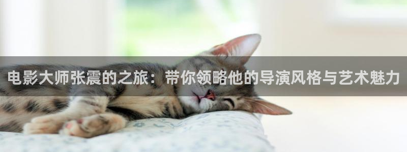 秋霞电影伦理网