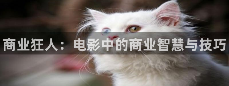 秋霞网鲁丝片在线观看