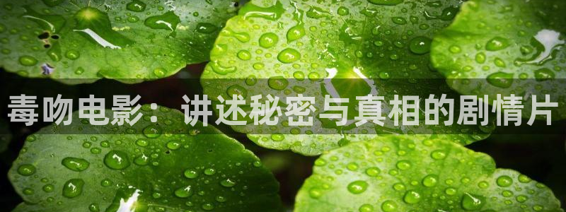 ,秋霞