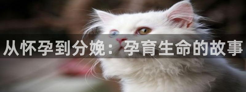 秋霞影视盒